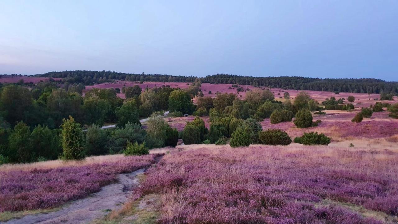Apartment Hillmer Bispingen Eksteriør bilde