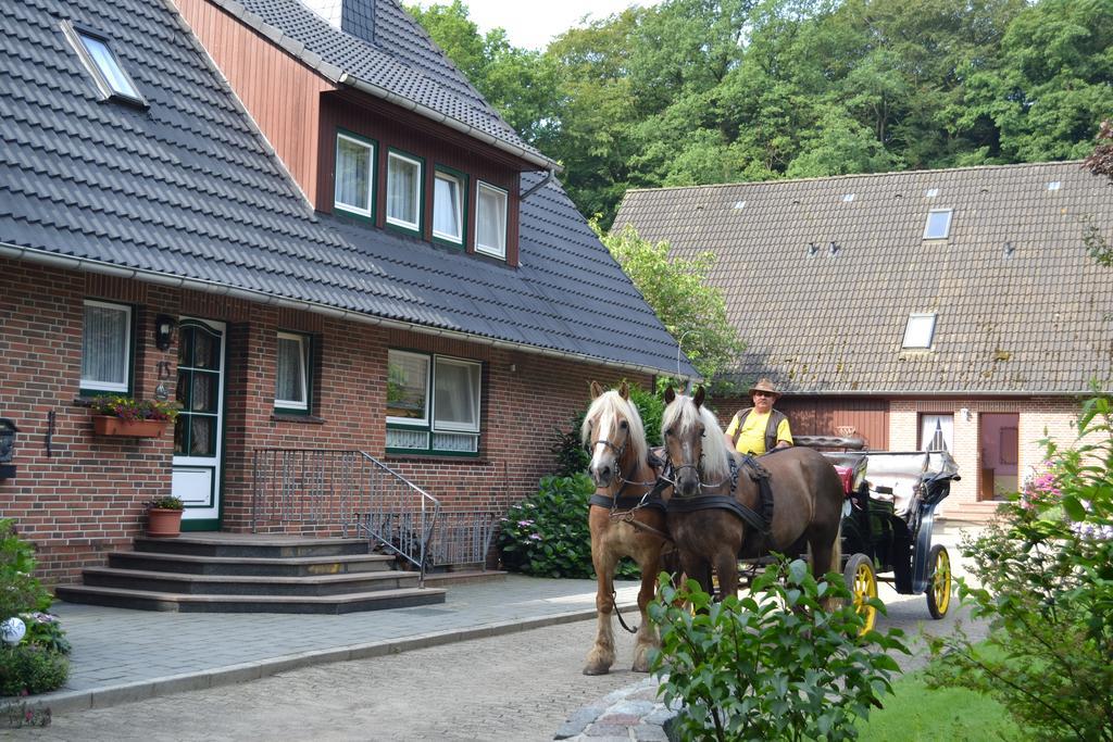 Apartment Hillmer Bispingen Eksteriør bilde